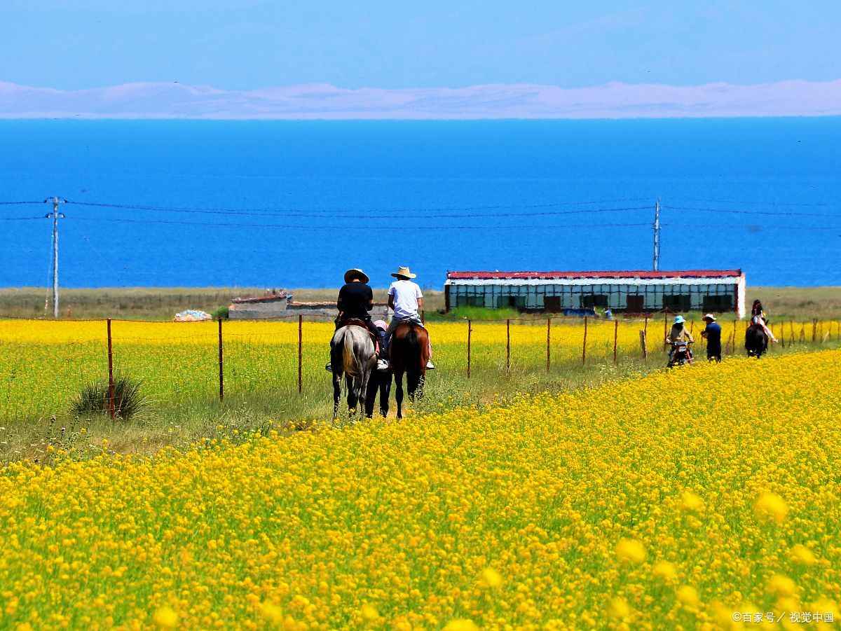 青海旅行社电话大全号码查询系统